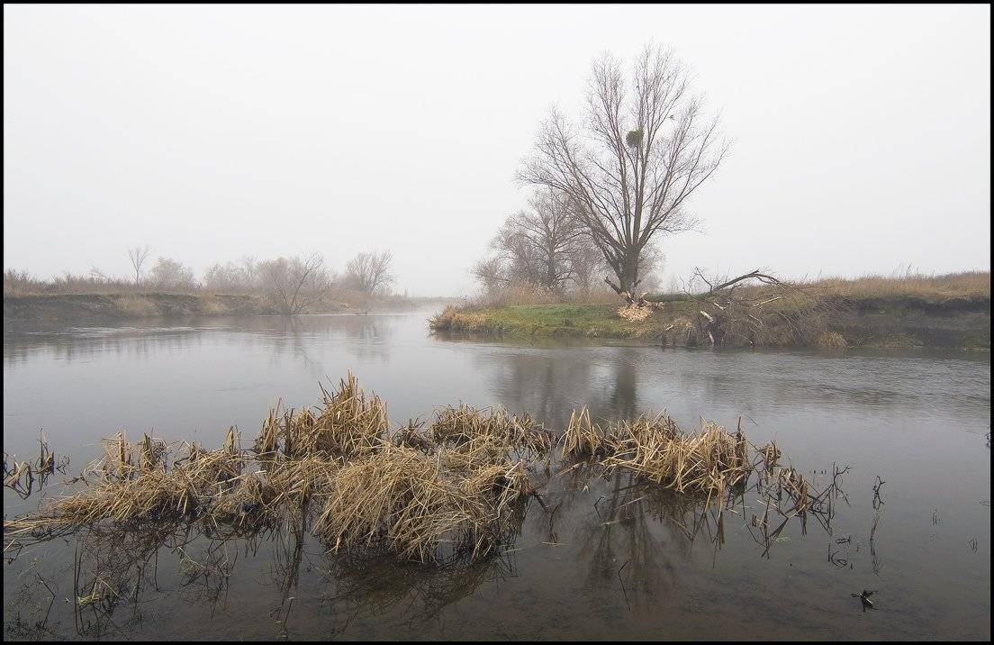 , WENIK