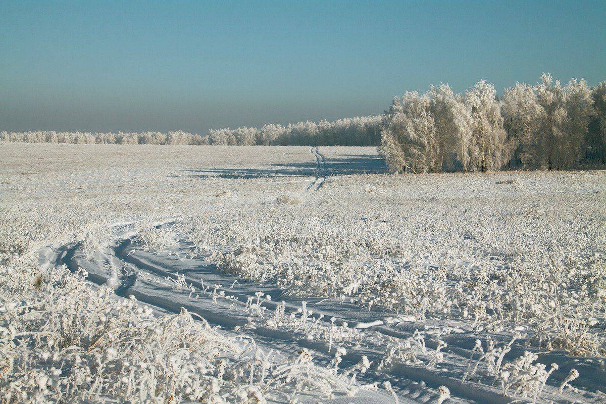 , Николай Морский