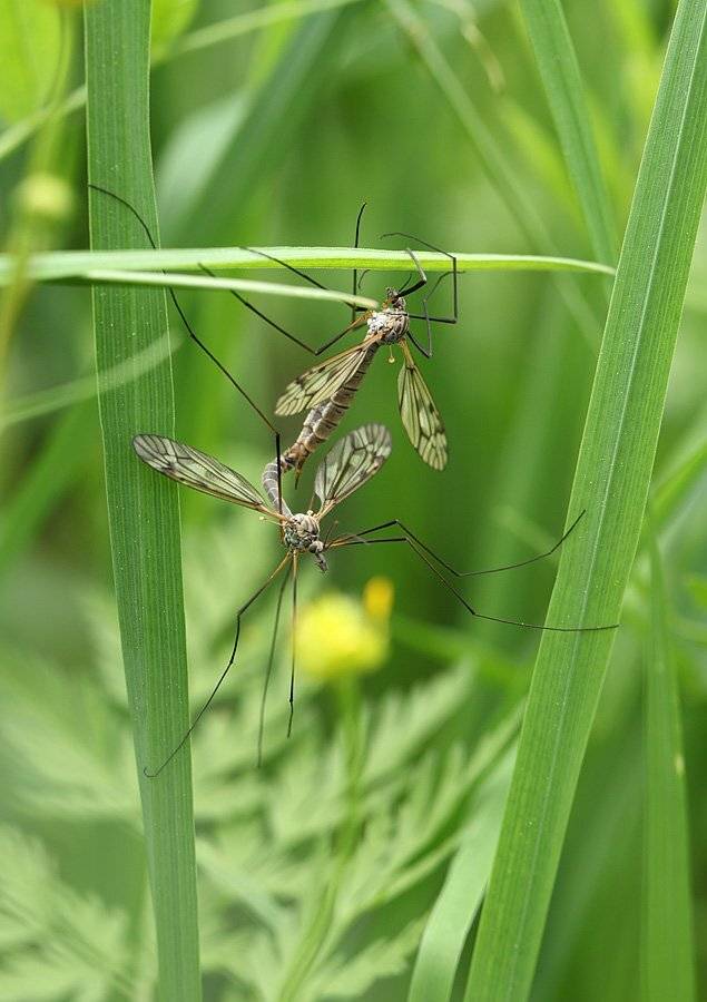 , Сергей Таланов