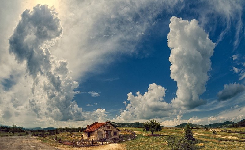 The Road House фото превью