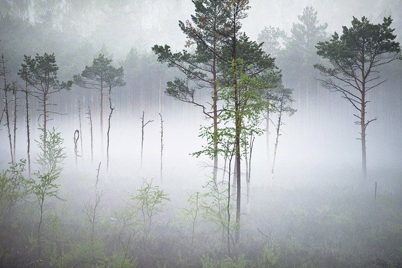 Tишина фото превью