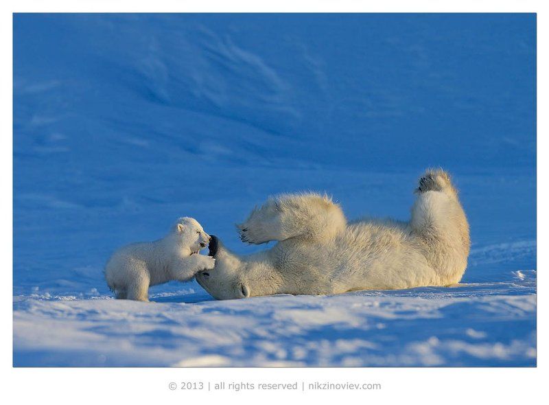 Завалил ! фото превью