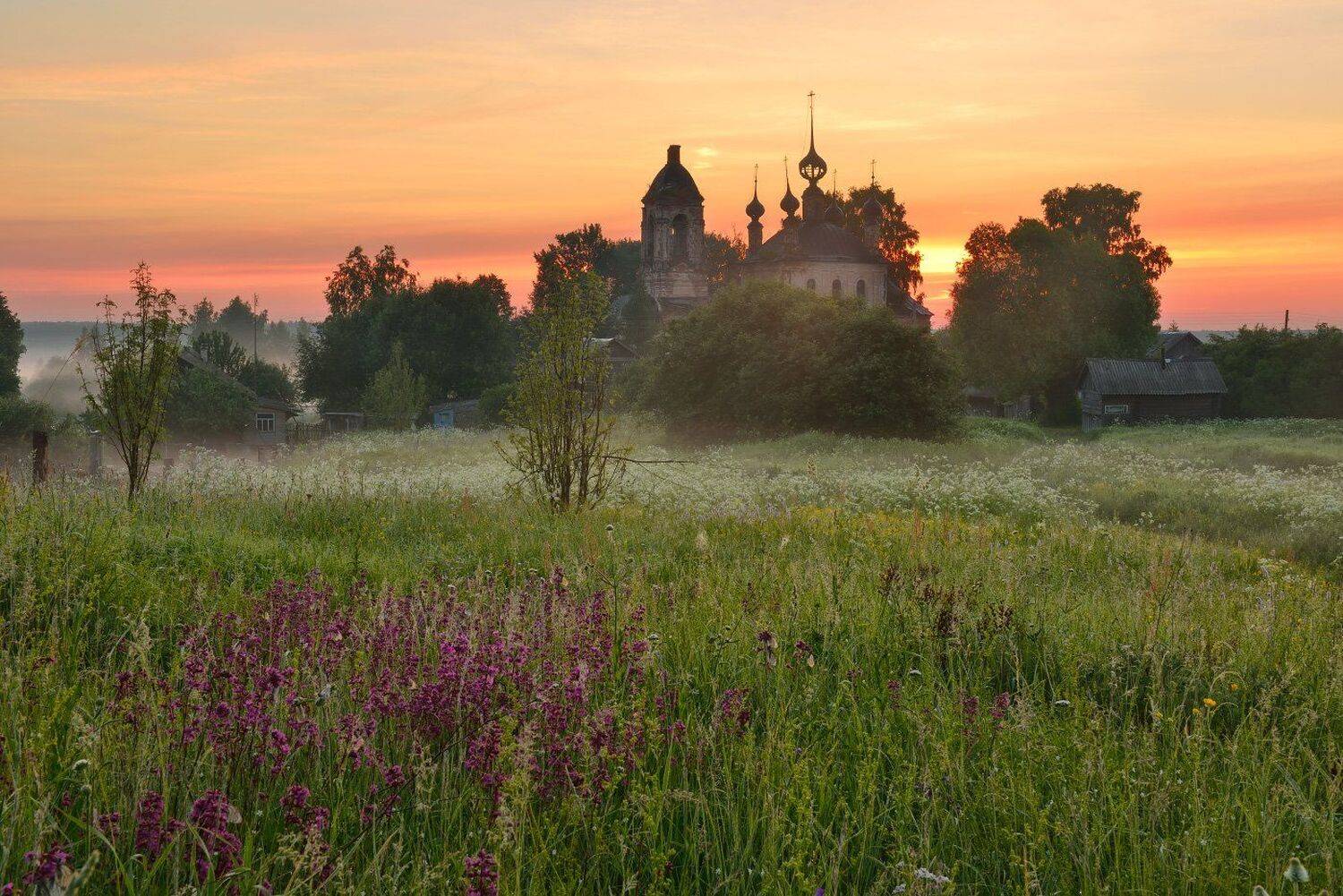 , Максим Евдокимов