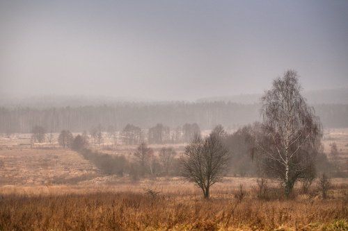 59 Ноября или 62 часа до Нового Года