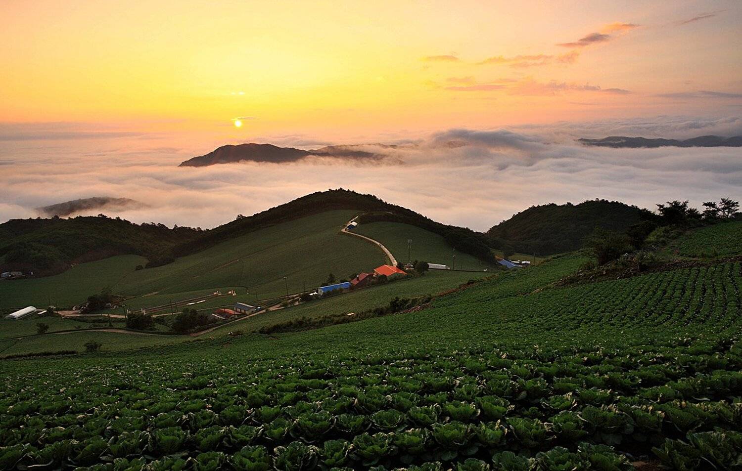 , 박 경 수