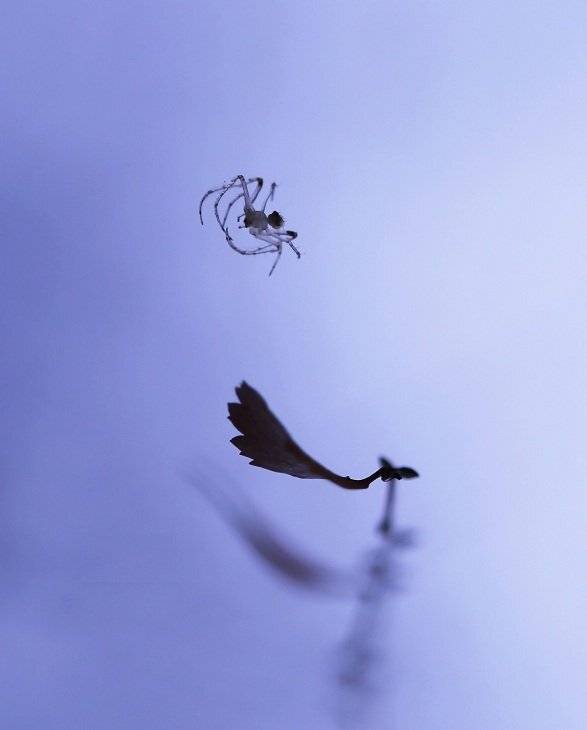 , Александр