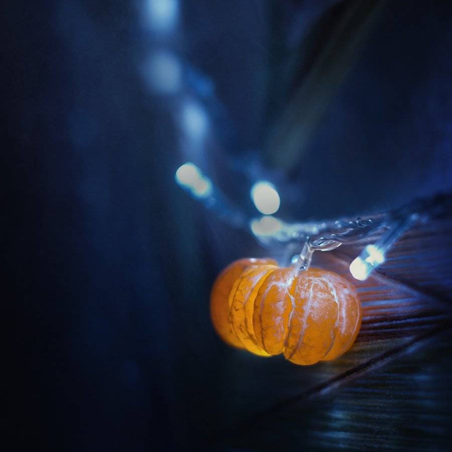 , Ратушнова-Осинцева Арина