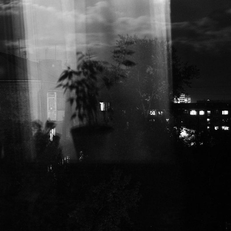 Облака, Окно, Фикус Фикус фото превью