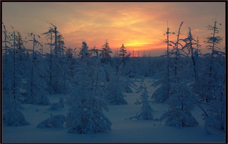 Зимний вечер в Приполярье фото превью