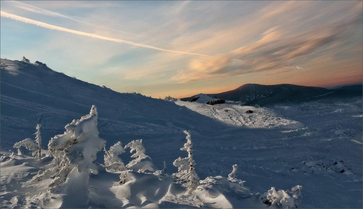 , Александр Гусаков