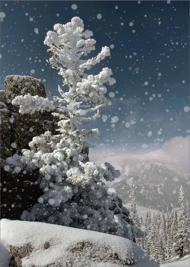 , Александр Гусаков