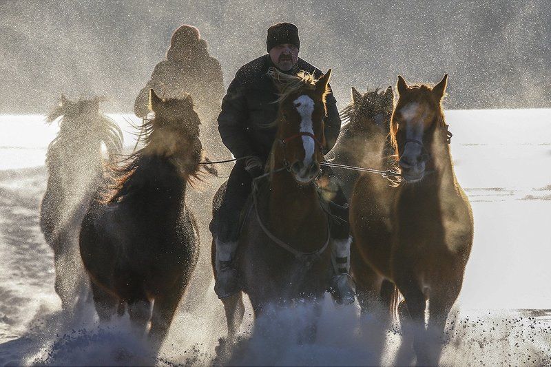 HAPPY NEW YEAR ! (YEAR OF THE HORSE) фото превью