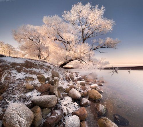 Новогоднее