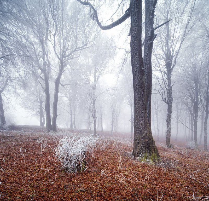 20131229 фото превью