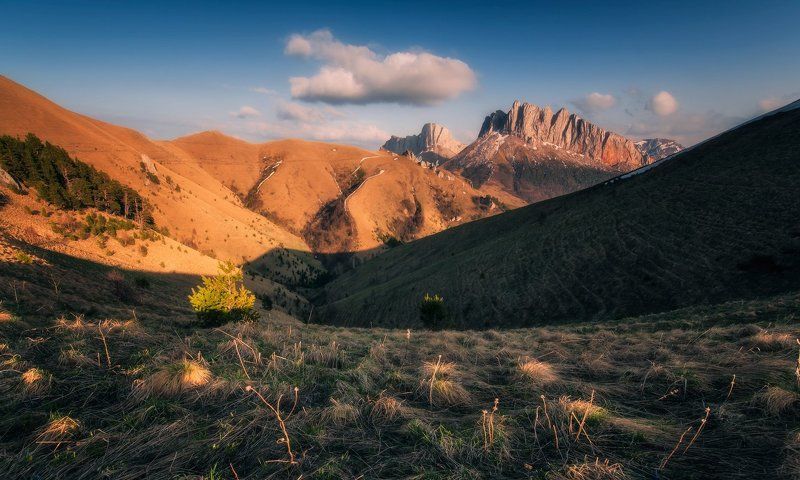 Из Майских похождений фото превью