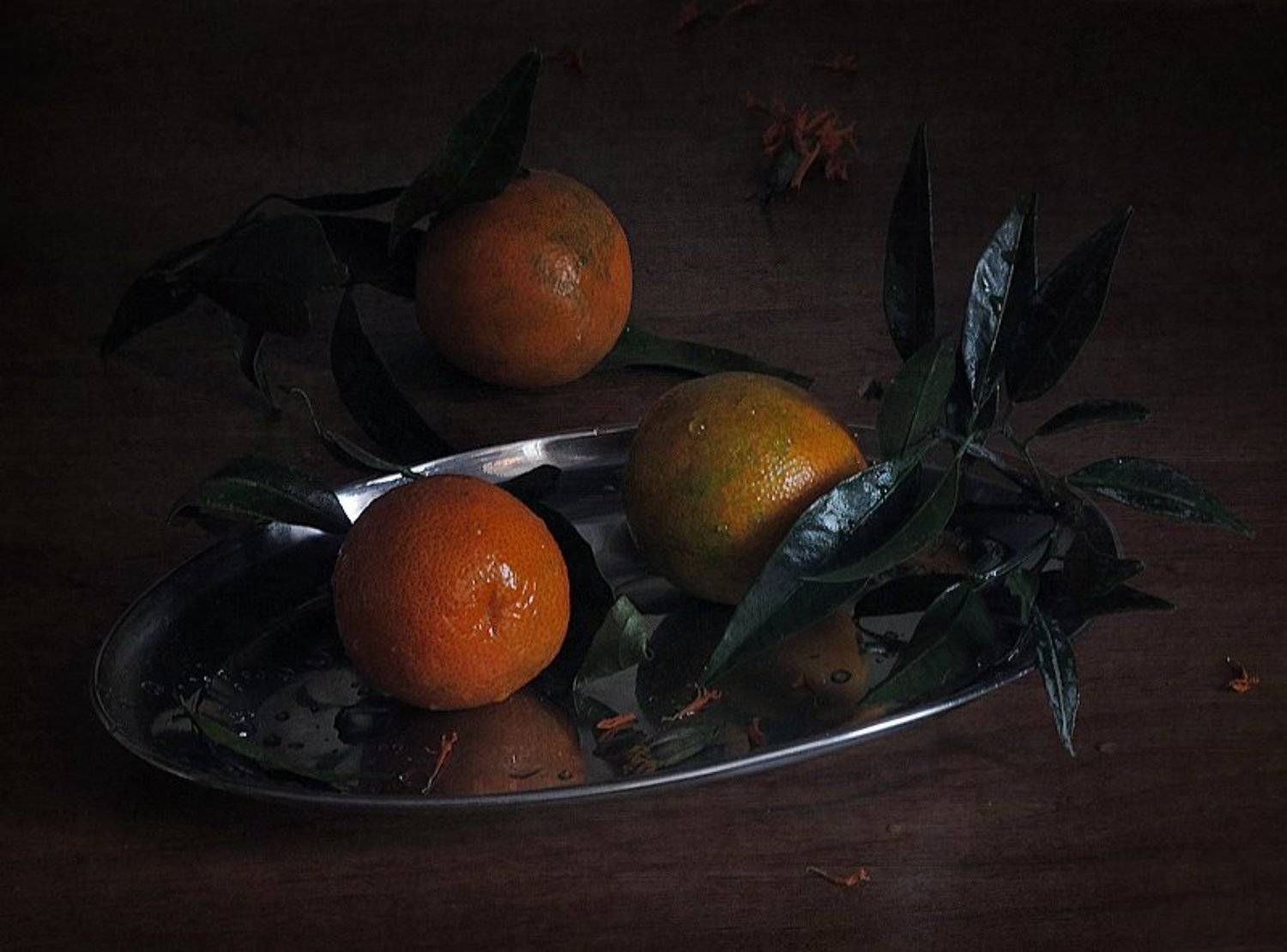 Зимние, Мандарины, Натюрморт, Сезон, LudmilaNG