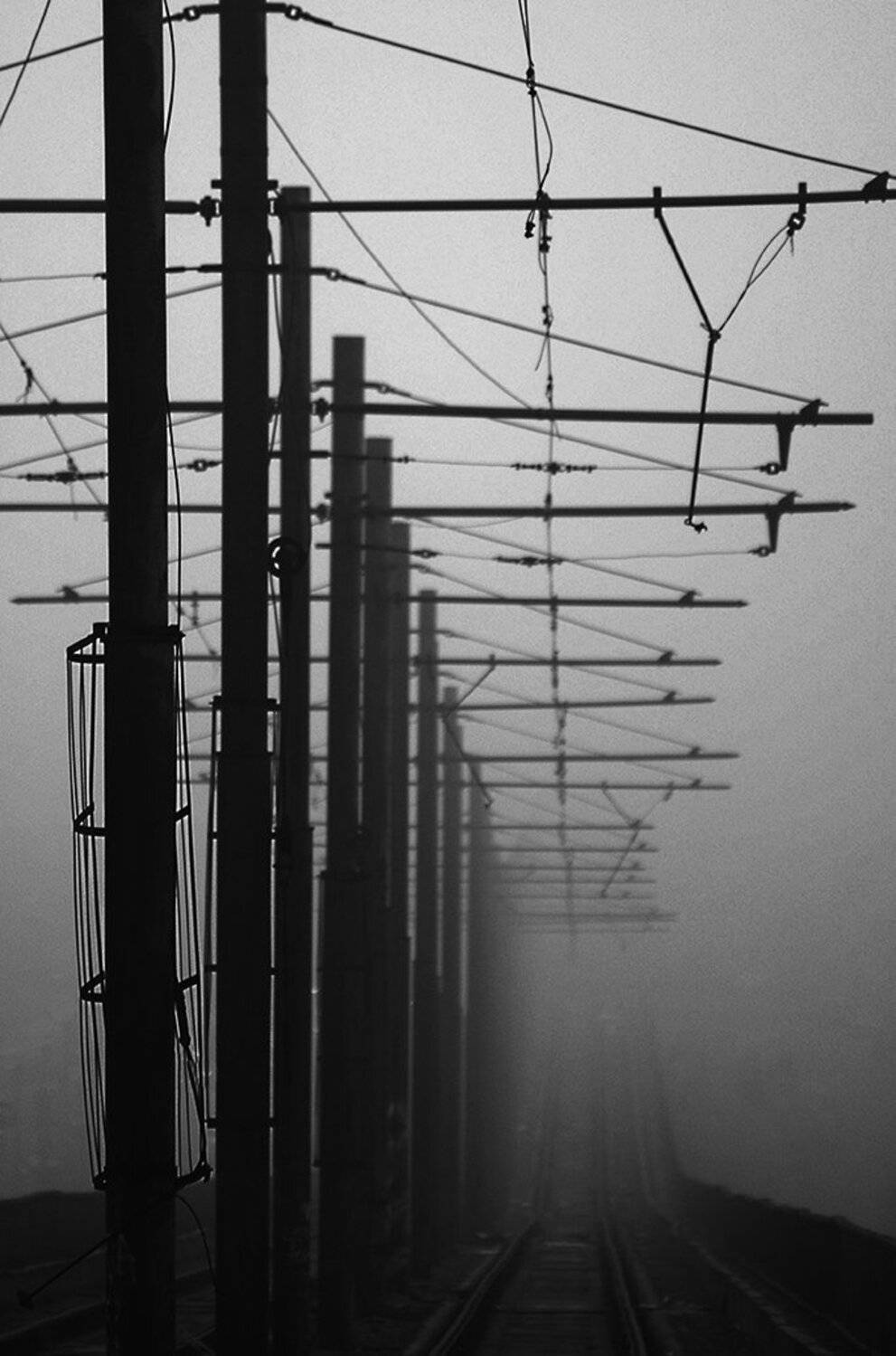 , Роман Рыжков