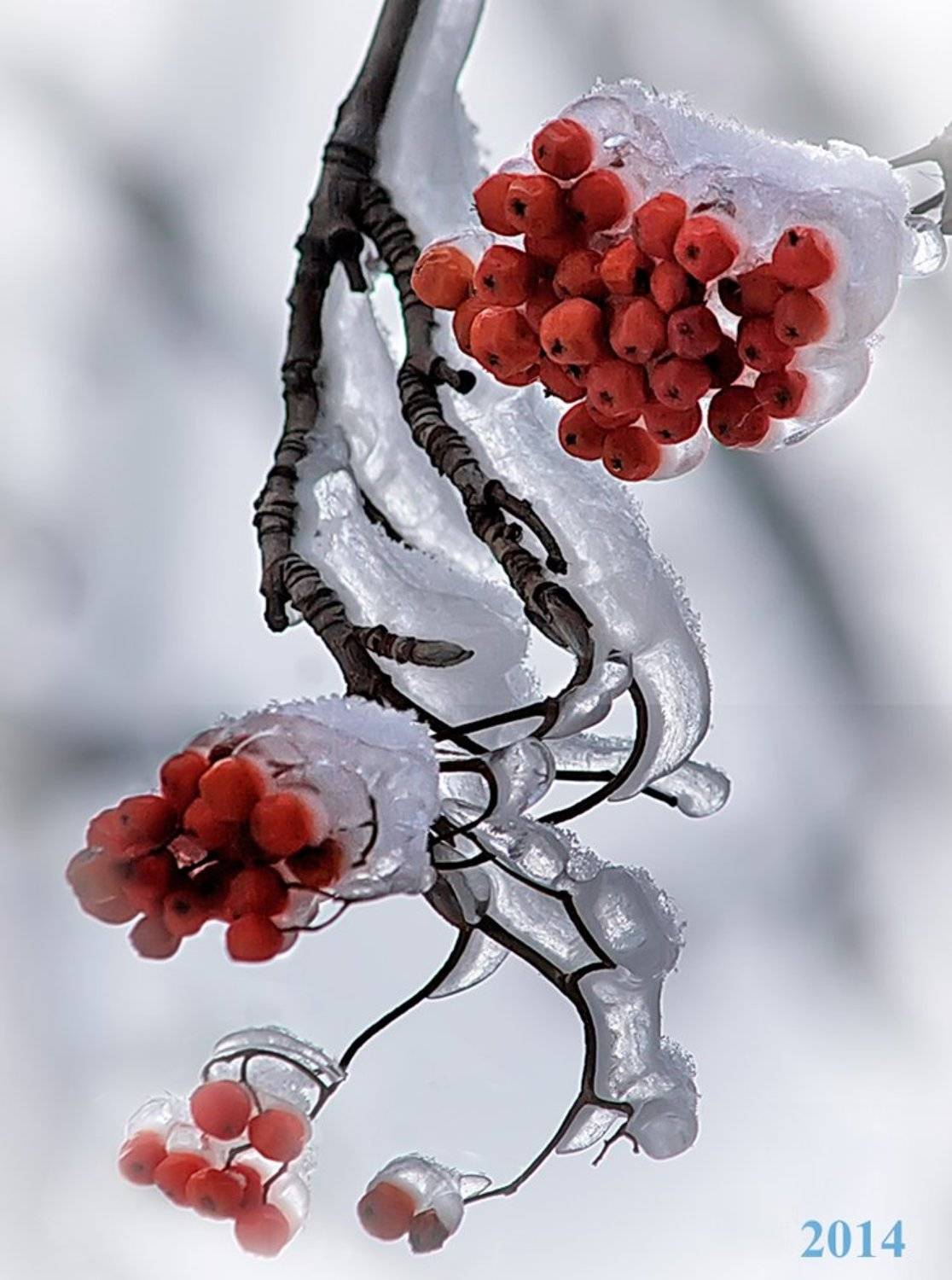 , Валерия Струнникова