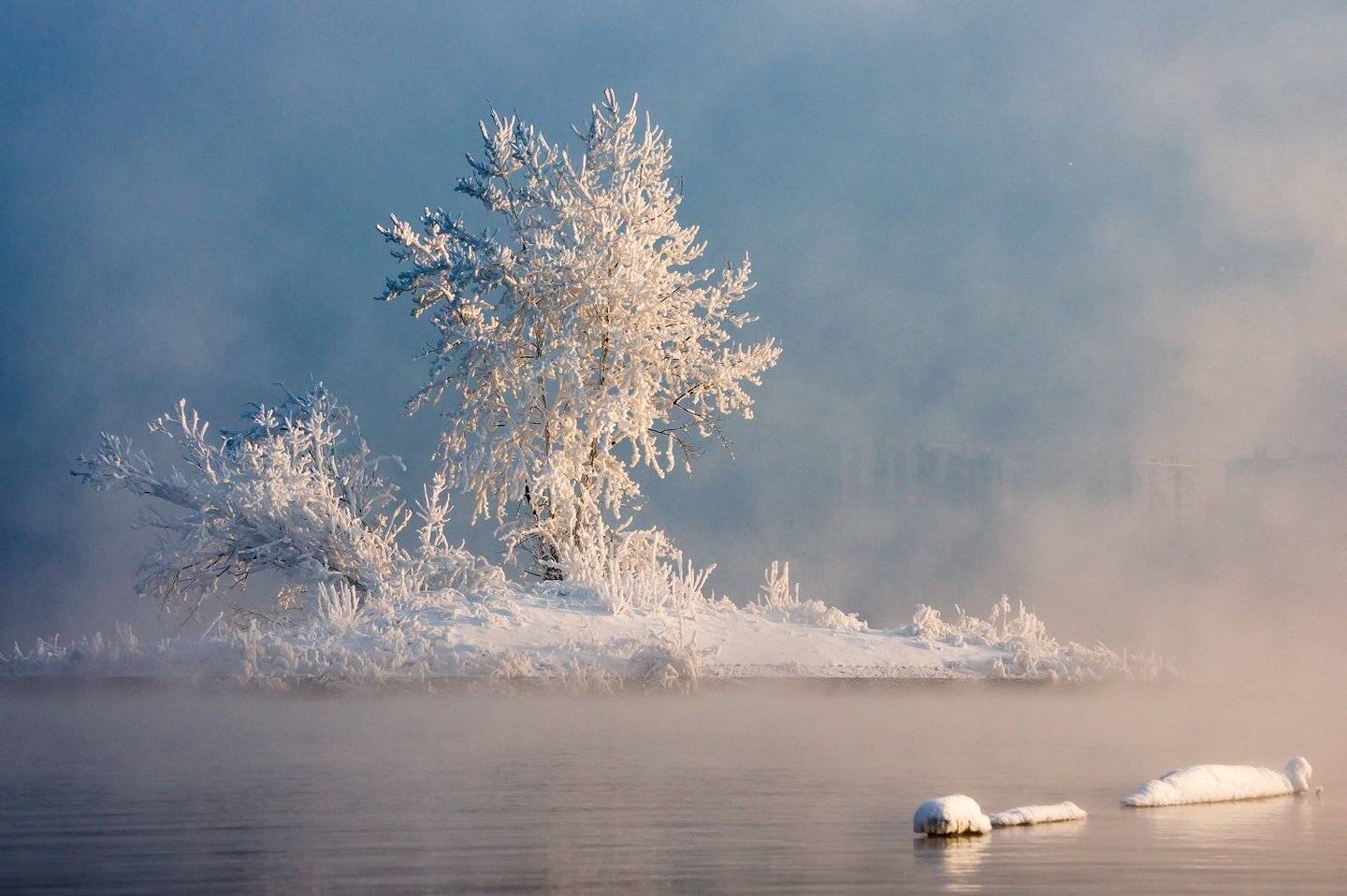 , Криволуцкий Игорь