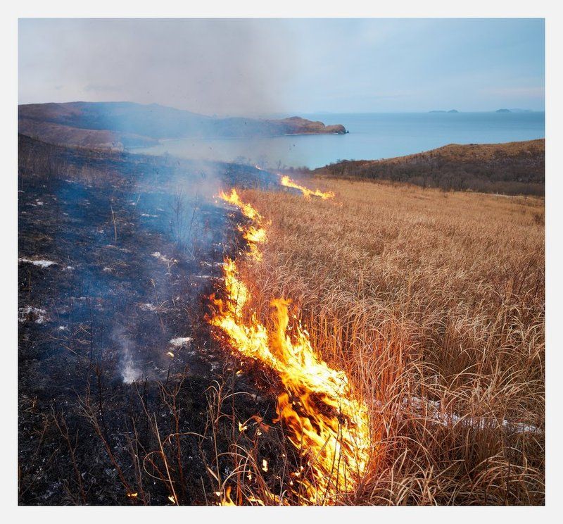 празднование 2014 фото превью