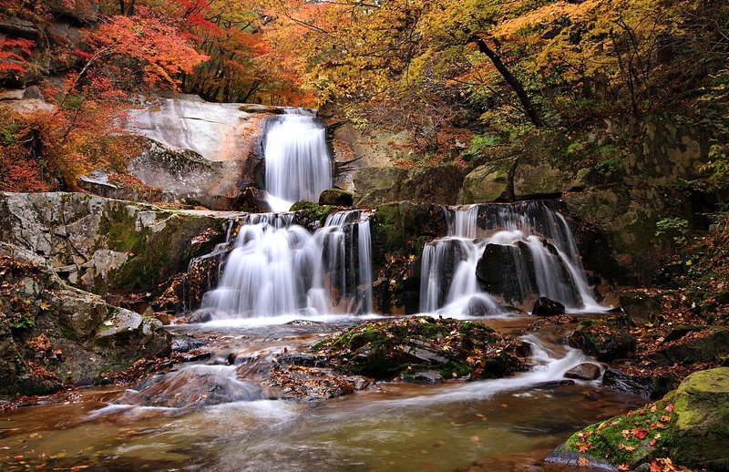 sings of  Autumn фото превью