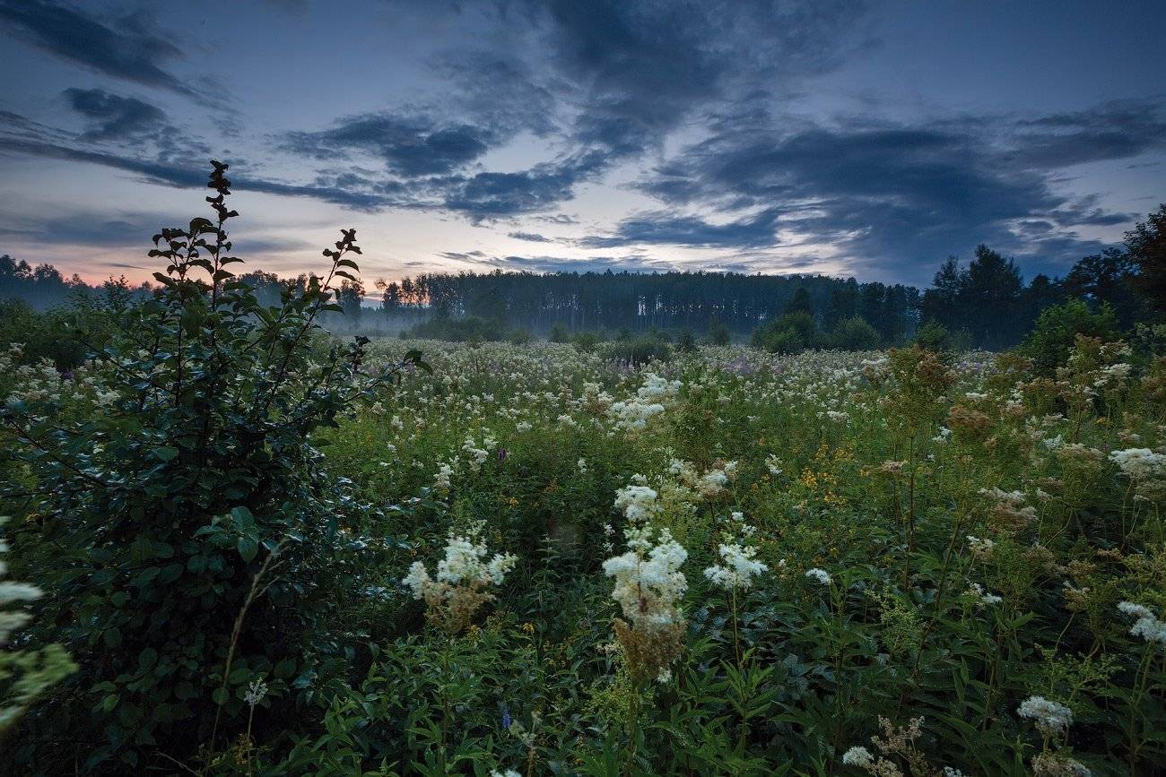 , Игорь Иванов