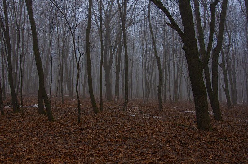 Зимний туман фото превью