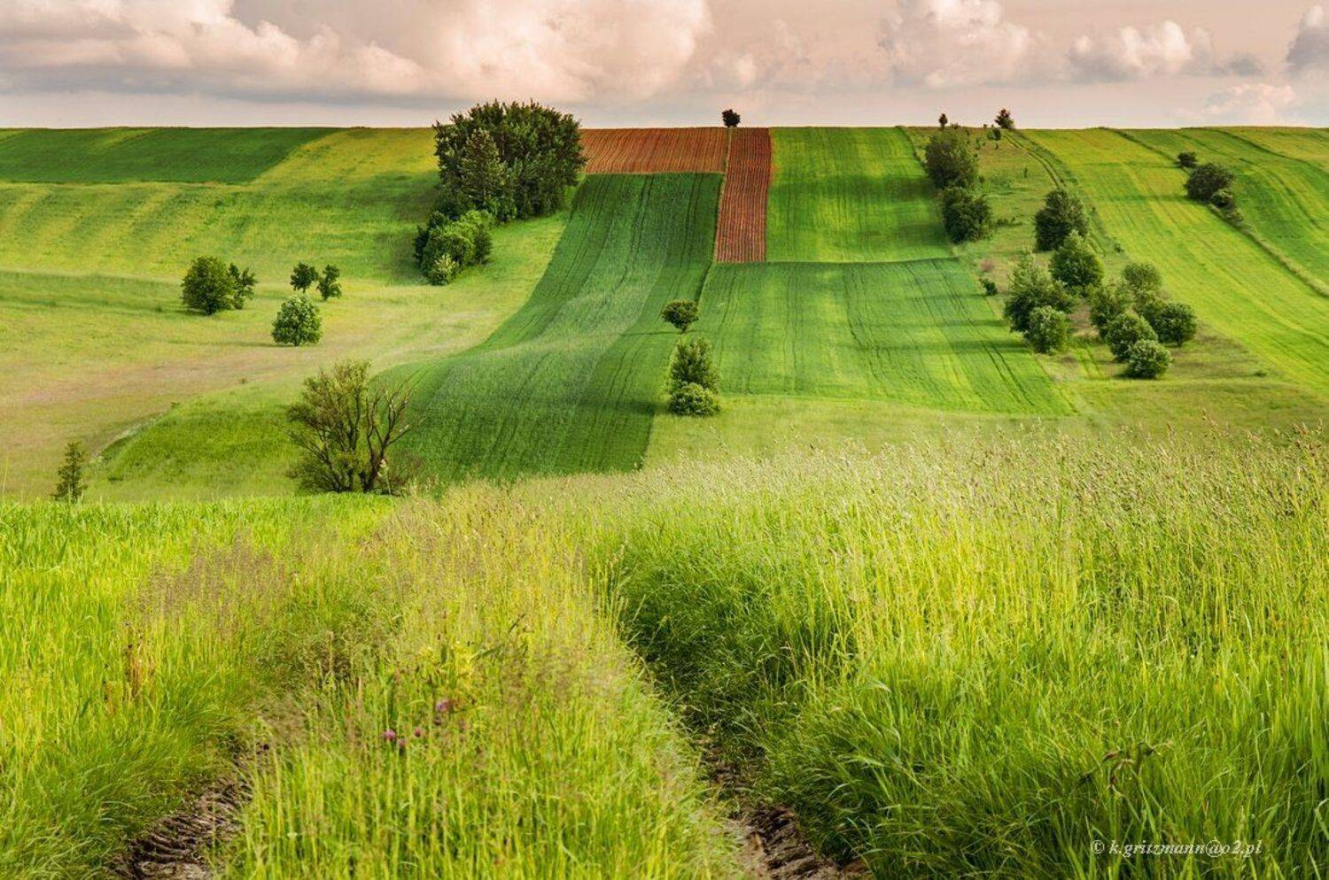 , Katarzyna Gritzmann