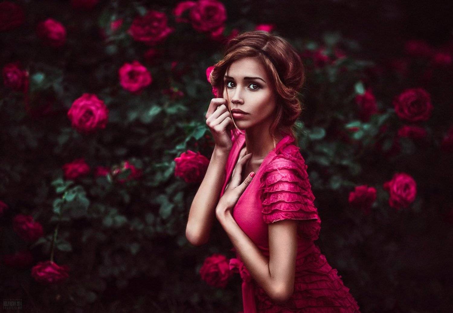 Автор: Беляева Светлана , Беляева Светлана