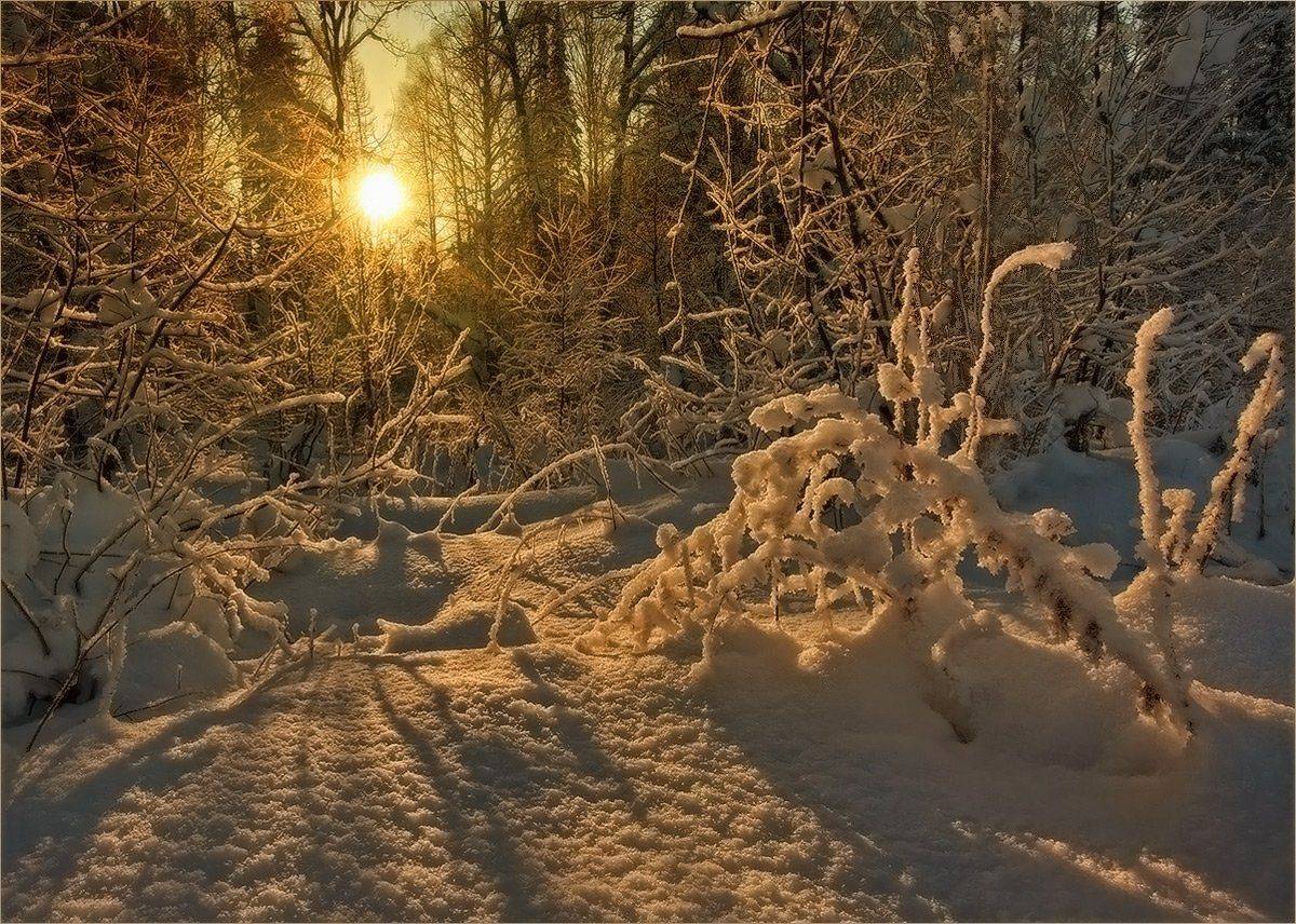 , Александр Гусаков