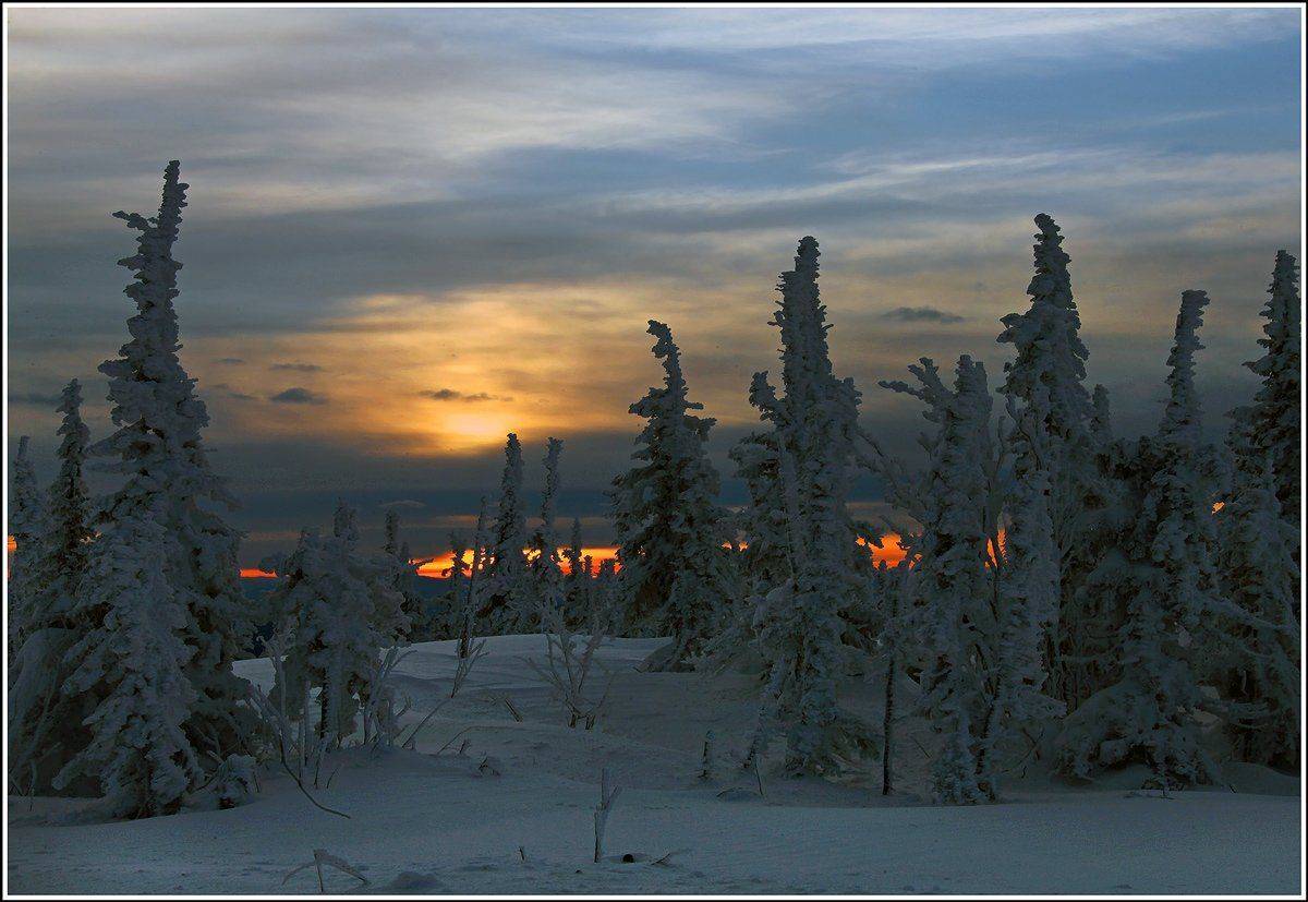 , Лихарев Александр