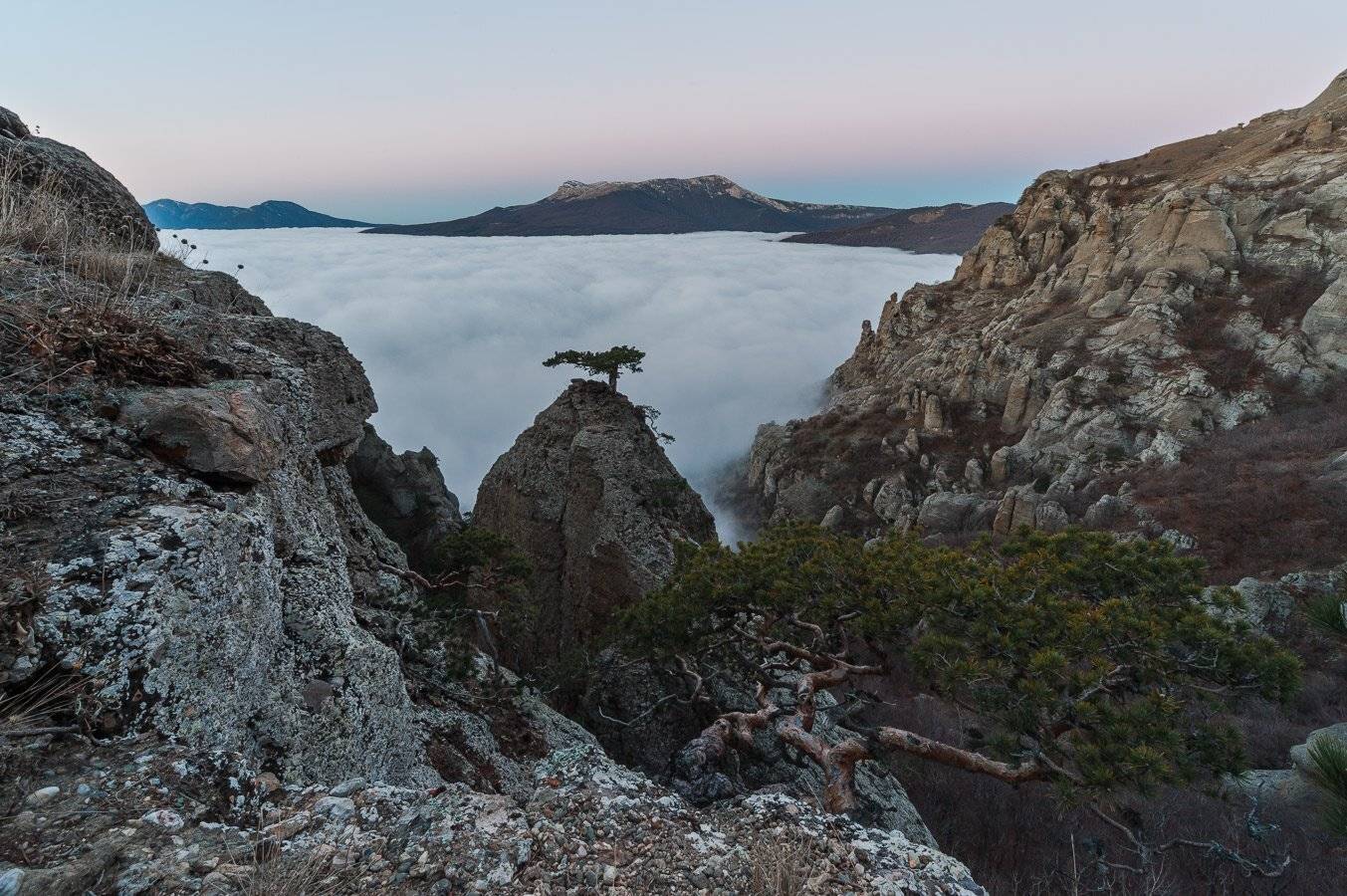 , Олег Логунов