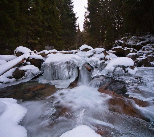 В оковах зимы
