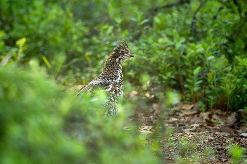 Заботливая мама