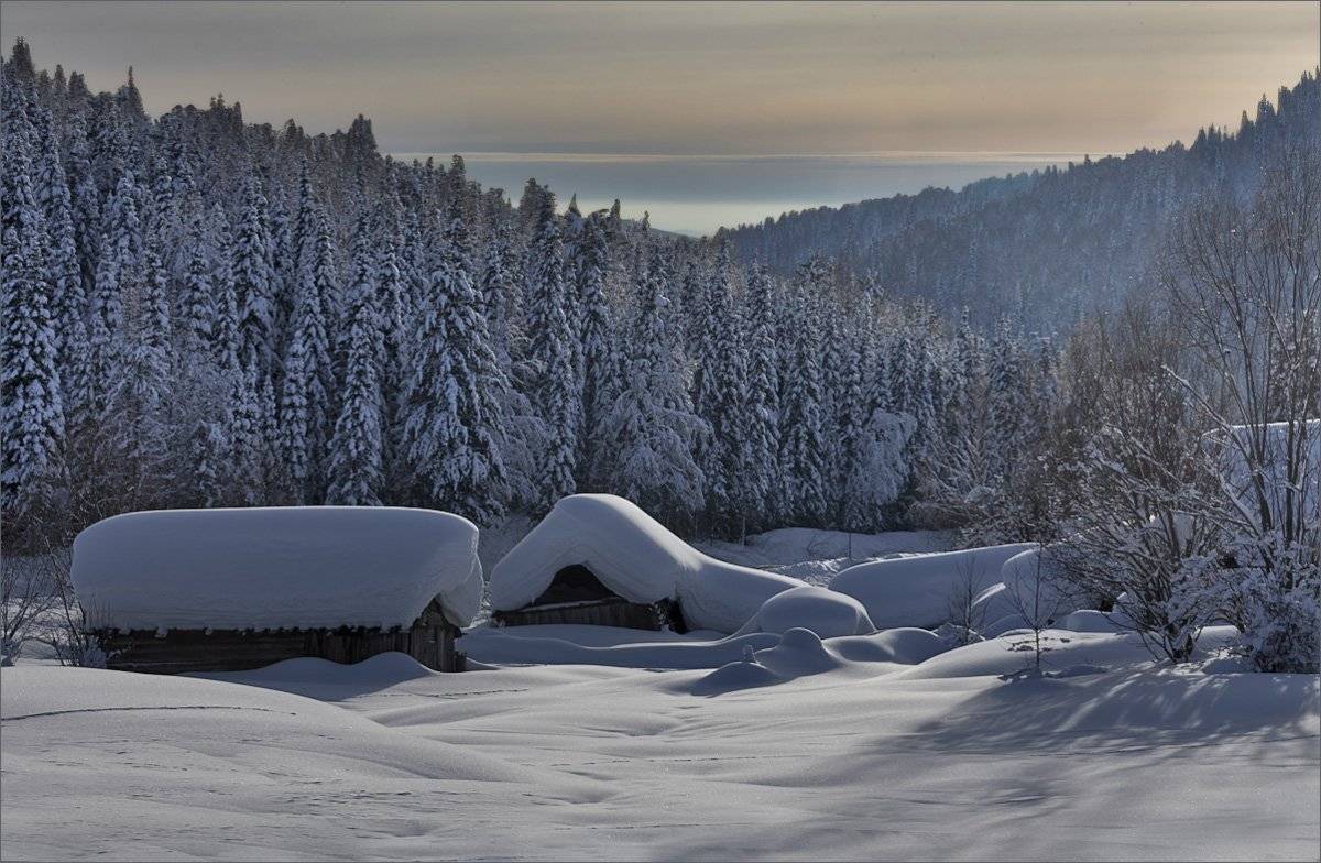 , Александр Гусаков