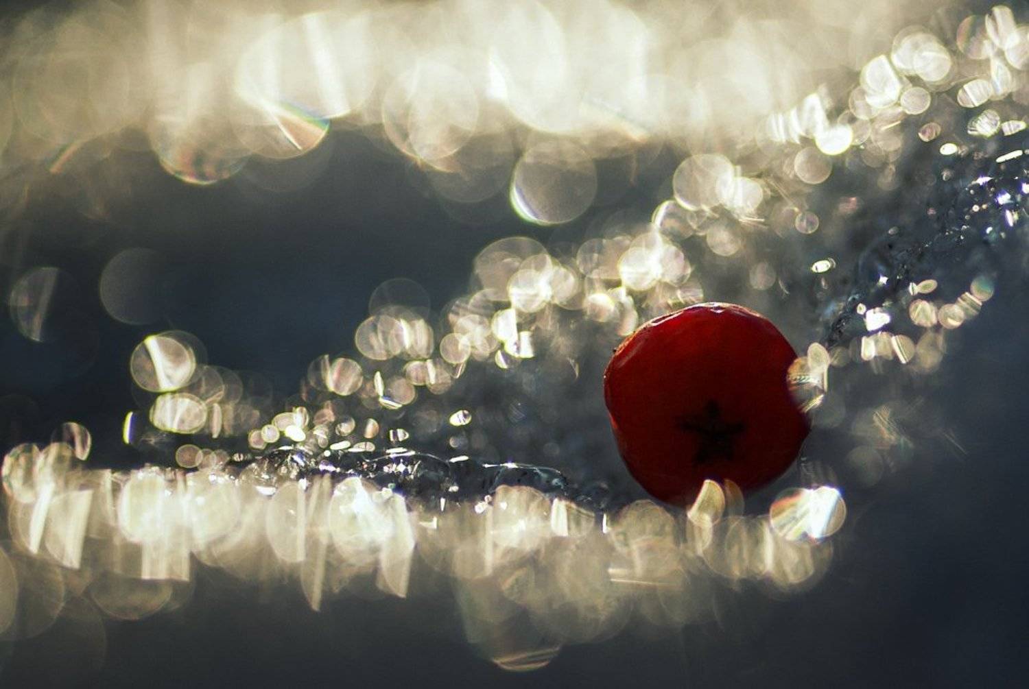 , Ирина Козорог