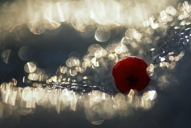 Замерзшая во льду фото превью