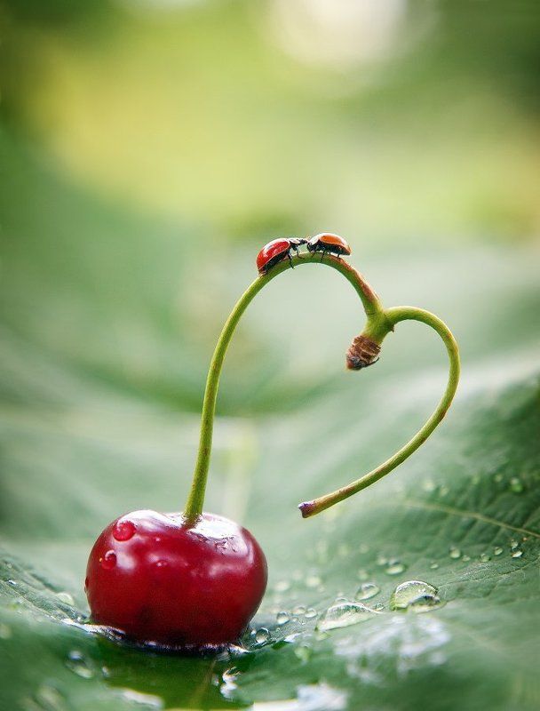 Love is...