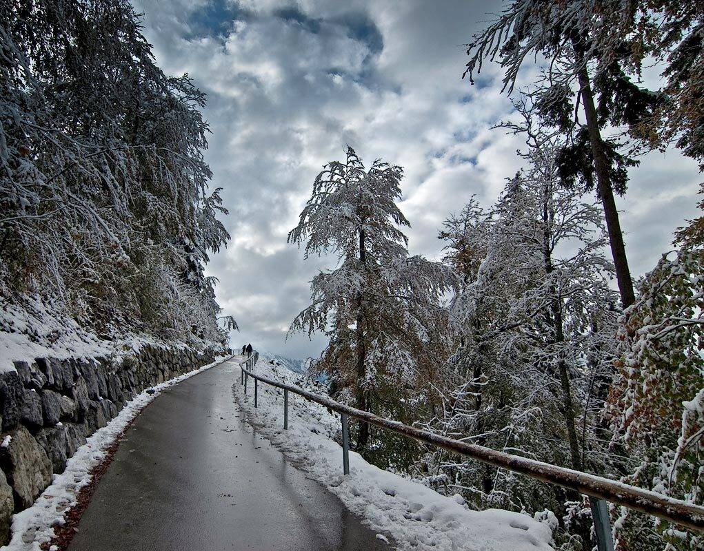 , Борис Алабугин