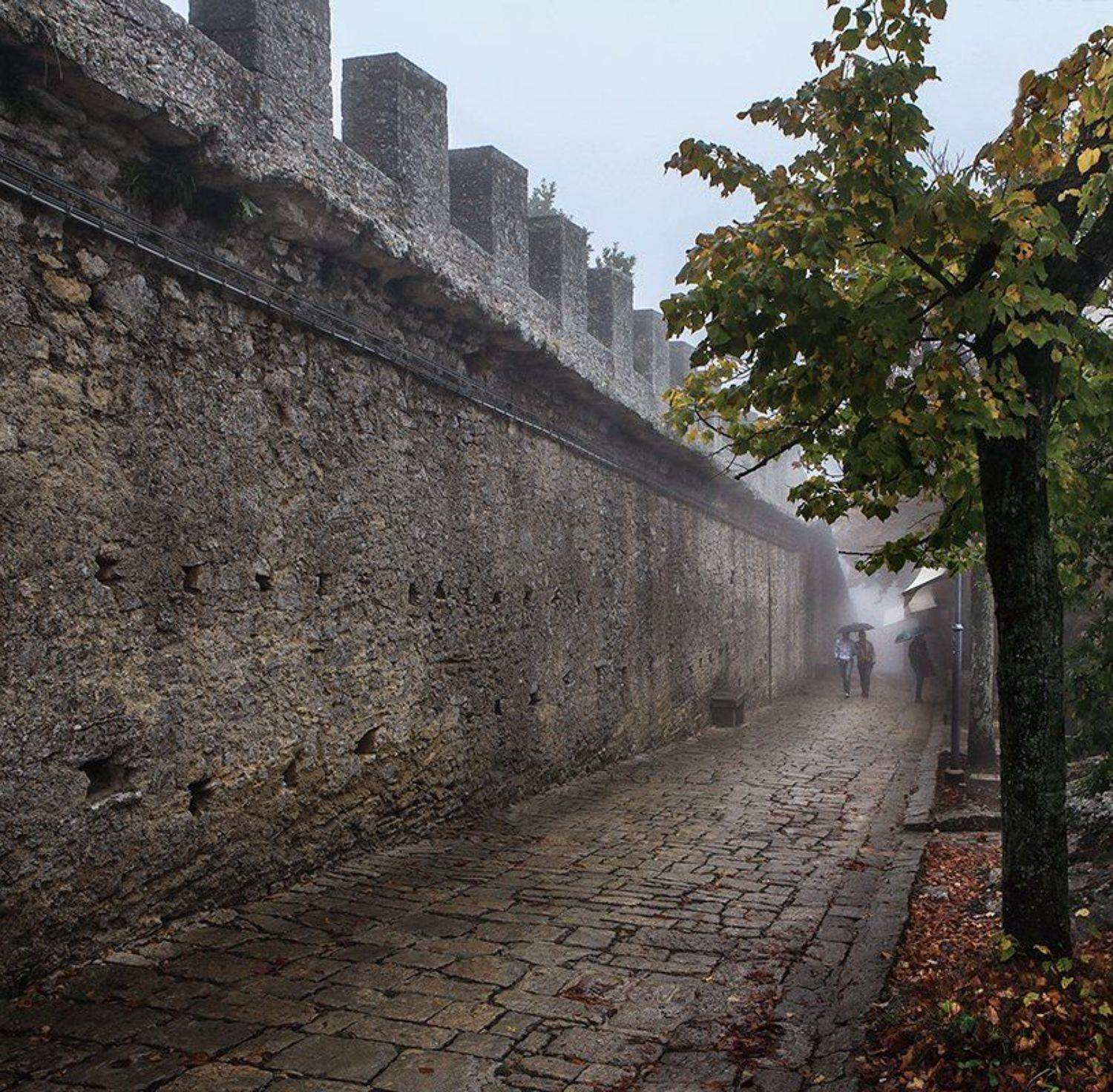 , Игорь Дубровский