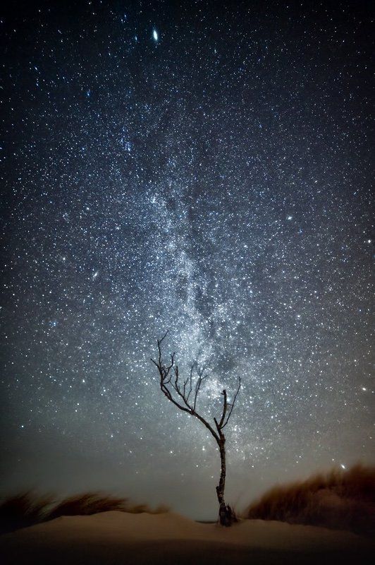 **** фото превью