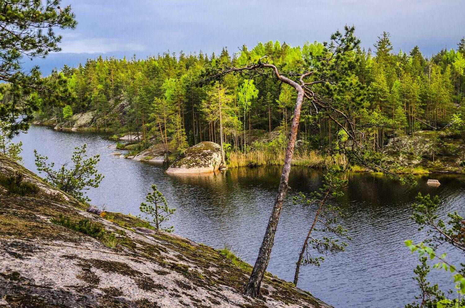 утро пейзаж путешествия, Александр Березуцкий