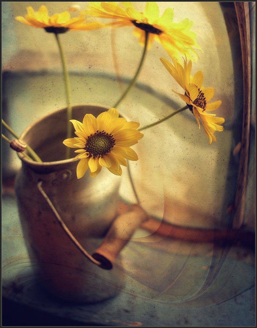 , Александр Хромеев