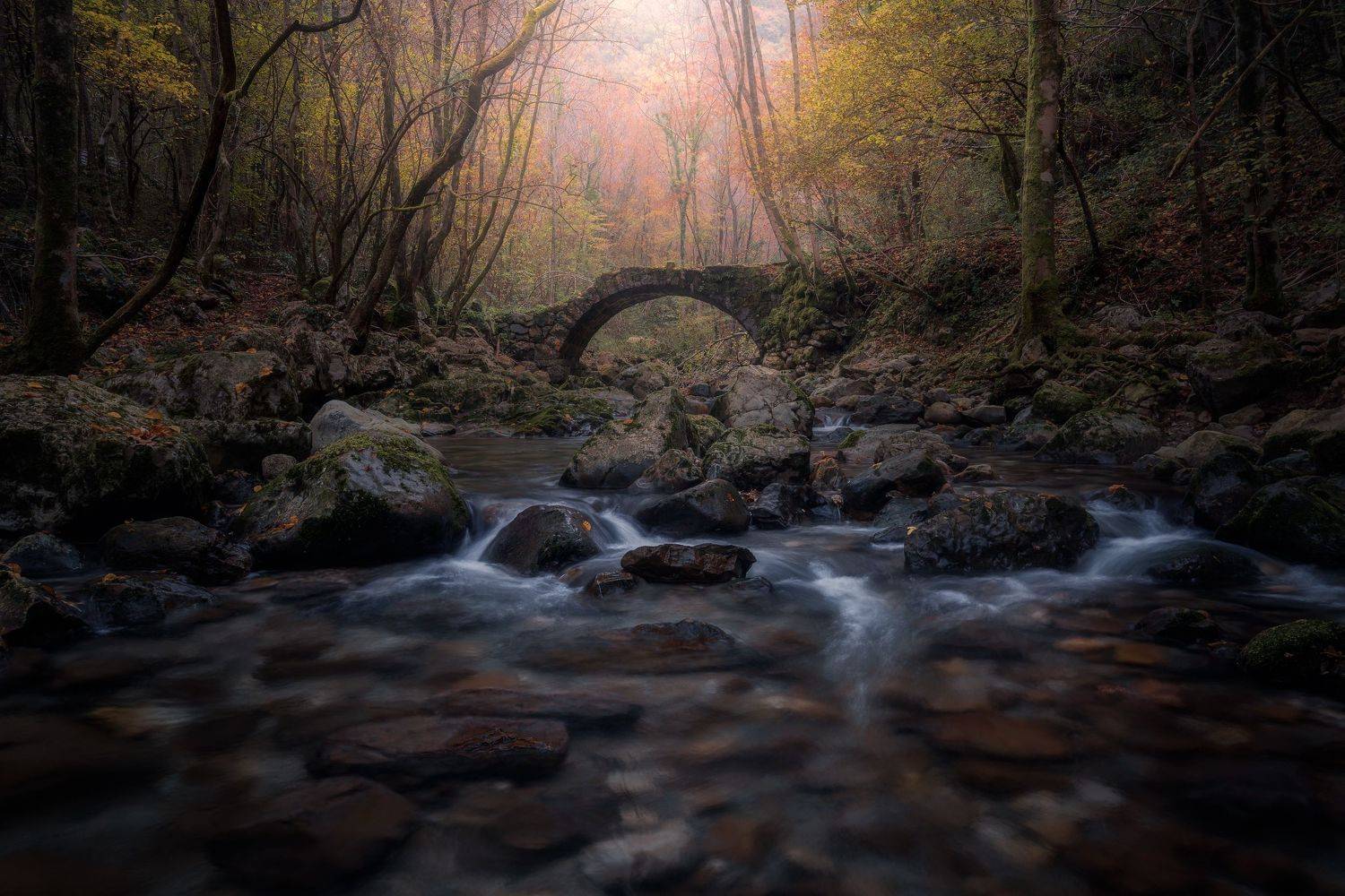 , Thomas de Franzoni