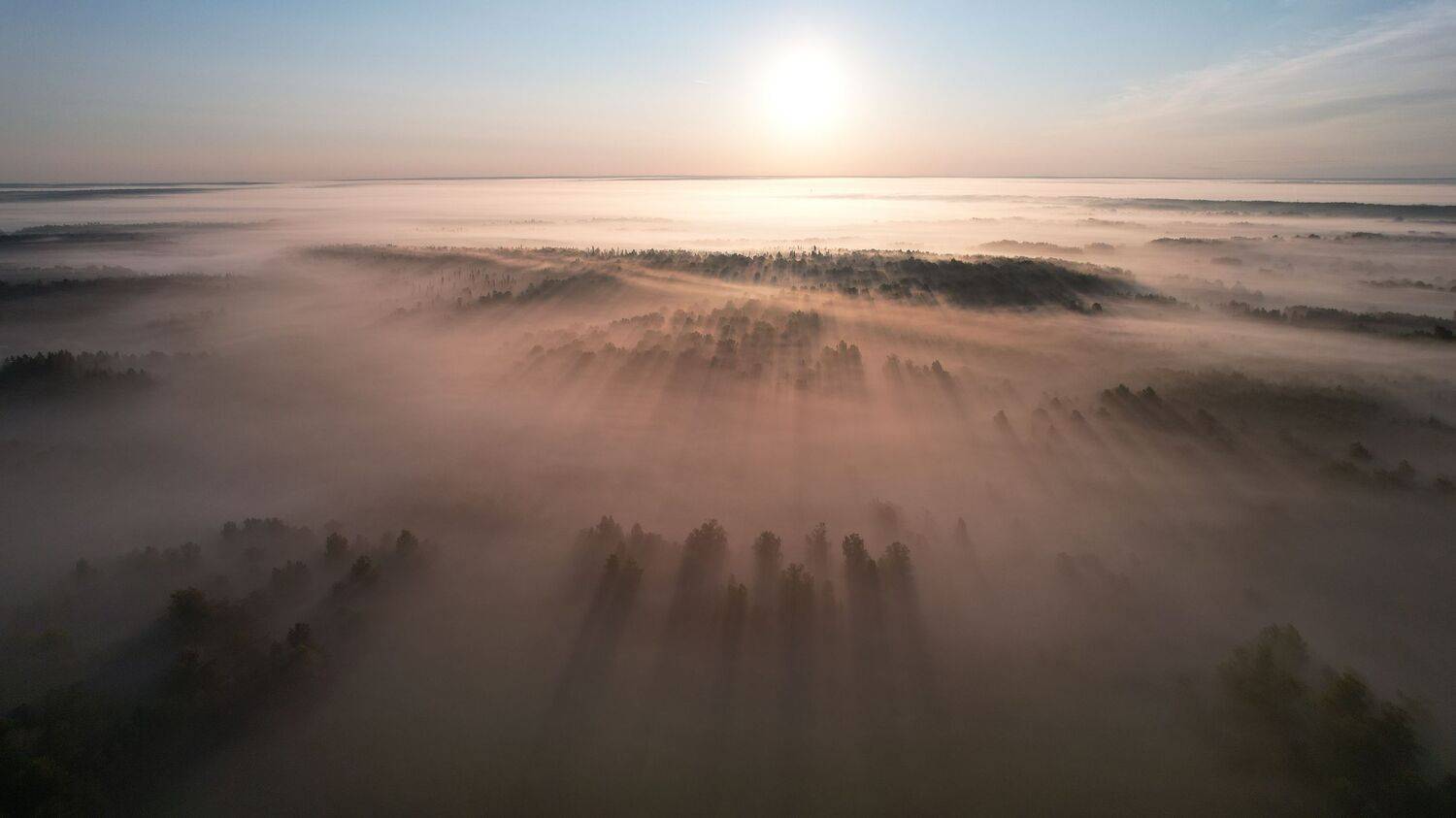 , Константин Буркин