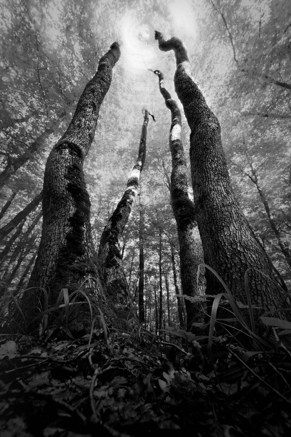 , Александр Орнатский