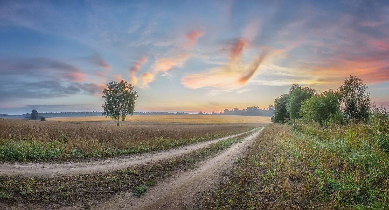 , Николай Андреев