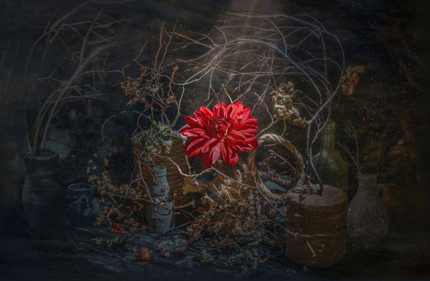 , MVO (Марк Орлов)