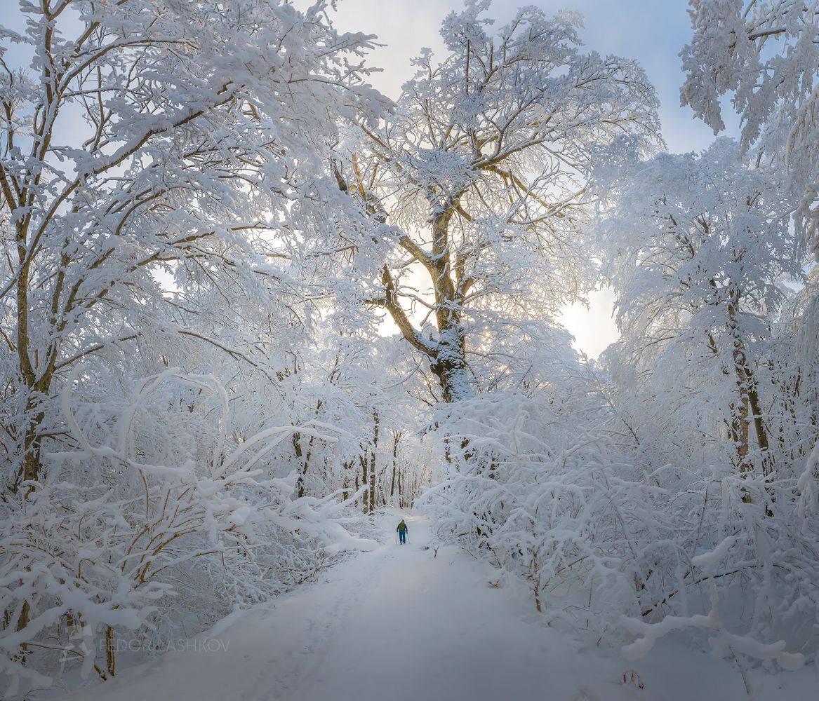 зима, снег, лес, ставропольский край, ставрополье, бештаугорский, бештау, дорога, турист, путешественник, снежное, снежный лес,, Лашков Фёдор