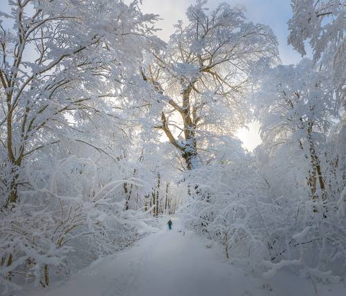 В снежном царстве